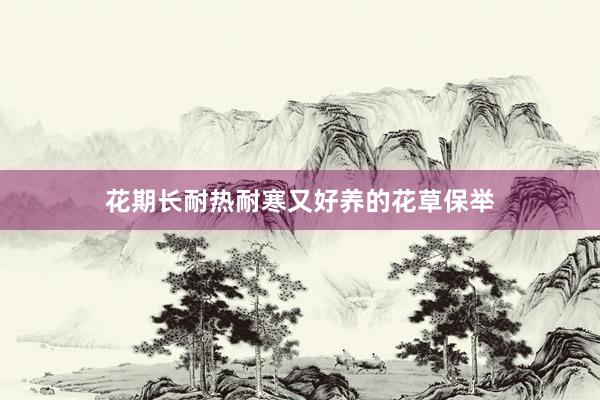 花期长耐热耐寒又好养的花草保举